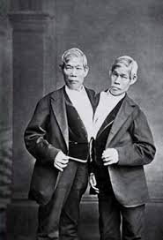 Chang and Eng: Siamese twins before Siamese twins were cool. 