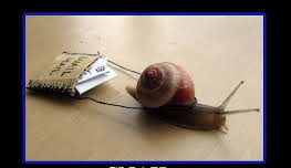 Snail delivering the mail. Neither snow, nor rain, nor heat, nor gloom of night stays these couriers from the swift completion of their appointed rounds.